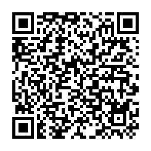 QR-Code - 