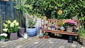 Zweite Terrasse - 