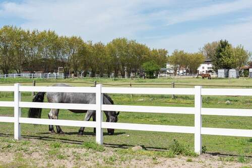 Landschaft_Dallgow_tgd1496 - 