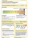 Energieausweis - 
