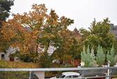 Ausblick vom Balkon - 