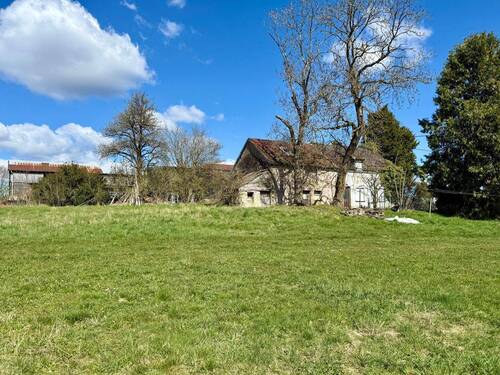 IMG_2397.jpeg - 4 Zimmer Bauernhaus, Landhaus zum Kaufen in Lützkampen