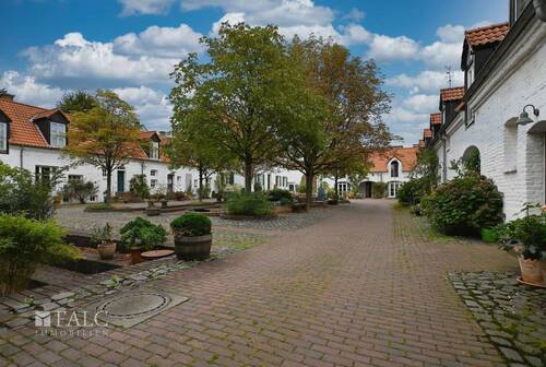 Blick vom Hinterhof - 