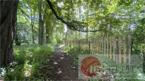 Rückseite Grundstück - 