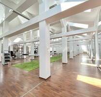 ***TOP EXKLUSIVES LOFT-BÜRO mit ca. 585m² in WIESBADEN OT***