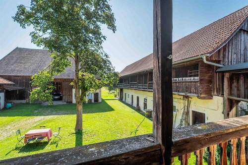 Ausblick vom Balkon - 