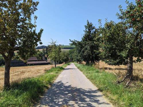 Zufahrt - Bauernhaus, Landhaus mit 235,00 m² in Malching zum Kaufen