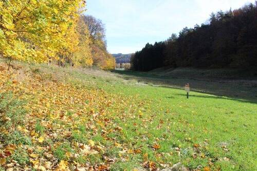 Bild II.JPG - Grundstück in Wald-Michelbach zum Kaufen