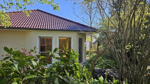 Blick aus dem Garten - 