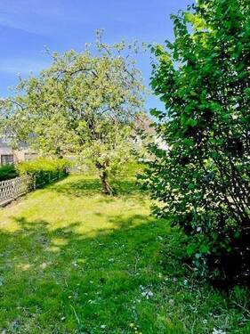 Garten seitlich am Haus - 
