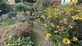 Garten - 