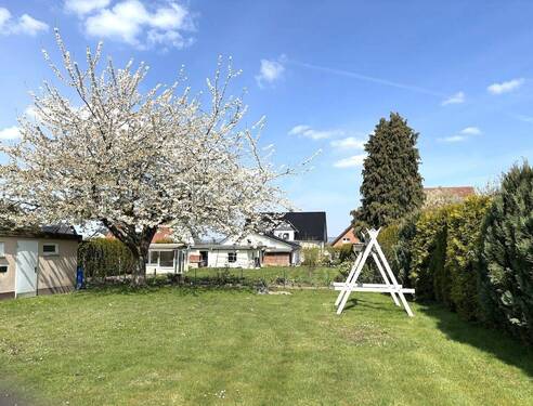Garten Richtung Norden - 