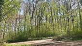 Umgebung - 