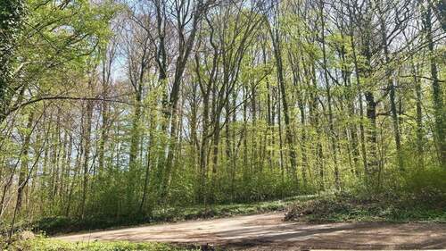 Umgebung - 