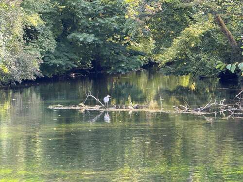 kurze Wege in die Natur - 