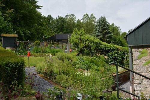 Garten im Sommer - 