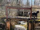 Wehr am Oberwasser - 