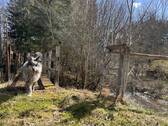 Leubas - 