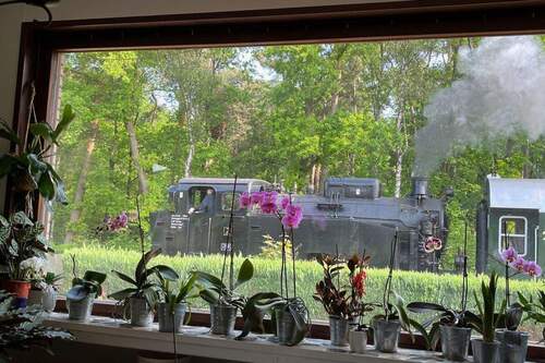 Museumsbahn - 5 Zimmer Einfamilienhaus zum Kaufen in Stuhr