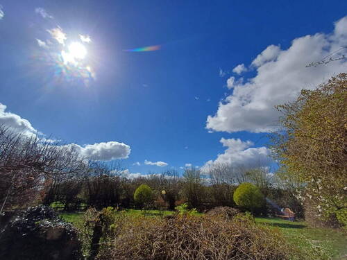 Bild 4 - Einfamilienhaus mit 390,00 m&sup2; in Münster Wolbeck zum Kaufen