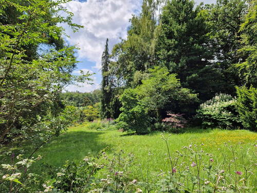 Grundstück Blick Süd/Südwest - Parkgrundstück mit zwei Bauplätzen, unverbaubare Lage