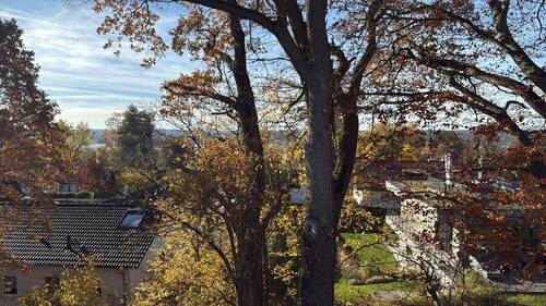 in schönster Nachbarschaft - 