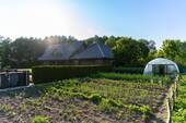 Gemüsegarten - 