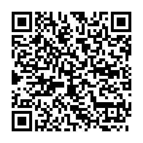 QR-Code - 