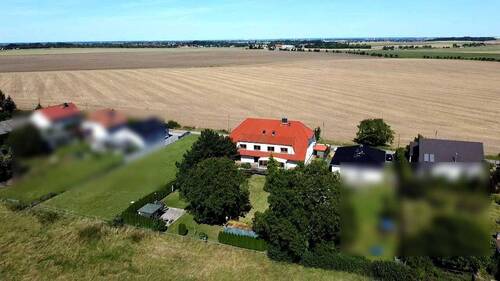 Blick in die Umgebung - 