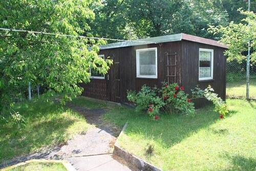 Laube - 