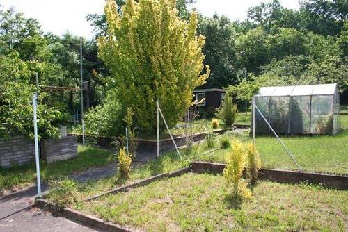 Garten II - 