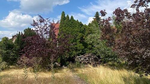 Garten - 