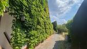 Weg in den Garten - 