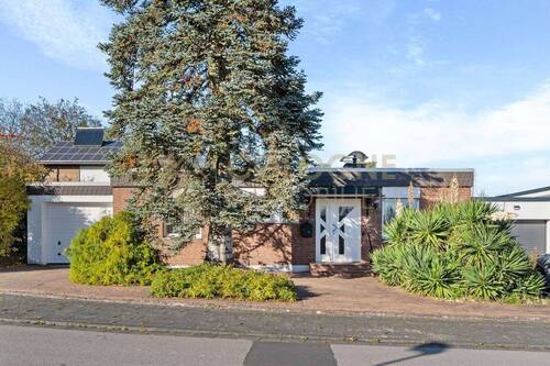 Hausfront und Vorgarten - 