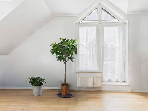 Wohnzimmer 2 - Etagenwohnung mit 72,90 m&sup2; in Fürth zum Kaufen