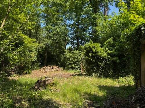 Ein Plätzchen zum Wohlfühlen - Waldwinkel Machern: Natur trifft Lebensqualität - Baugrundstück in absolut ruhiger Waldlage