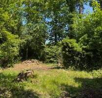 Waldwinkel Machern: Natur trifft Lebensqualität - Baugrundstück in absolut ruhiger Waldlage