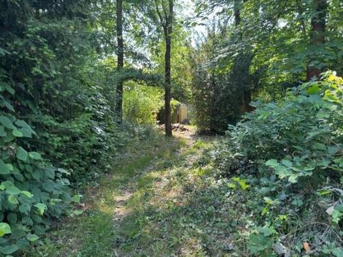 Platz zum Wohlfühlen - Grundstück zum Kaufen in Machern