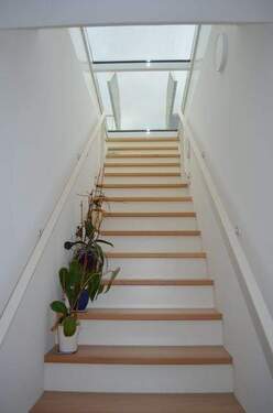Aufgang zur Dachterrasse - 