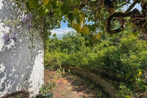 Terrasse - 