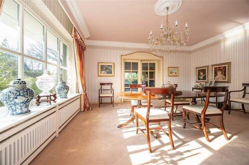 Helles Esszimmer mit viel Tageslicht - 