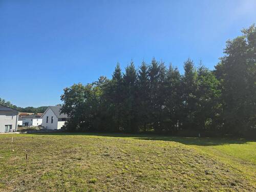 20250811_160947.jpg - Jetzt bauen! Sonniges Grundstück in Nossen-Rhäsa mit 705m²