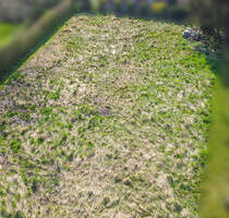 Baugrundstück in Groß Döhren - Ideal für Ihr Eigenheim - Liebenburg