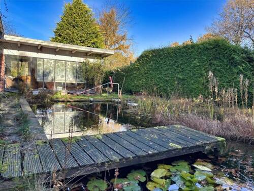 Blick über den Schwimmteich - 