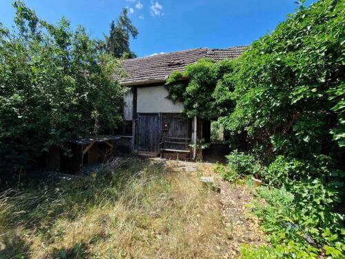 Schuppen - 