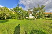 Garten Westseite - 