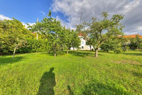 Garten Westseite - 