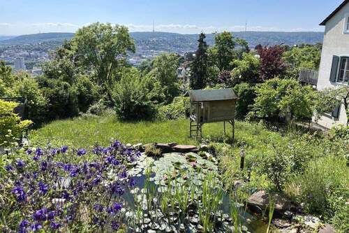 Blick von der Terrasse - 
