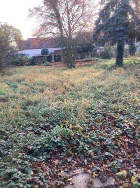 Garten - Mehrfamilienhaus, Wohnhaus mit 130,00 m² in Muldestausee zum Kaufen