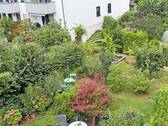 Garten - Machern: Gartenwohnung, 3 Zimmer plus Souterrain